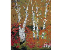 Zuty - Malování podle čísel - BŘÍZY NA PODZIM 40x50 cm bez rámu a bez vypnutí plátna