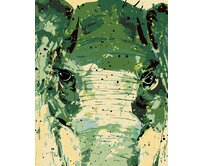 Zuty - Malování podle čísel - MALOVANÝ ABSTRAKTNÍ SLON 40x50 cm bez rámu a bez vypnutí plátna