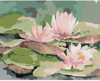 Zuty - Malování podle čísel - RŮŽOVÉ JAPONSKÉ LEKNÍNY 40x50 cm vypnuté plátno na rám