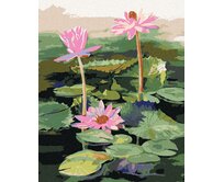 Zuty - Malování podle čísel - TŘI RŮŽOVÉ LEKNÍNY NA JEZEŘE 40x50 cm vypnuté plátno na rám