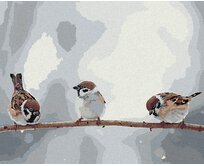 Zuty - Malování podle čísel - MALÍ PTÁČCI NA VĚTVI 40x50 cm vypnuté plátno na rám