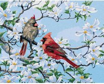 Zuty - Malování podle čísel - PTÁK KARDINÁL NA ROZKVETLÉ VĚTVI NA JAŘE (ABRAHAM HUNTER) 40x50 cm bez rámu a bez vypnutí plátna
