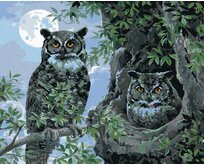 Zuty - Malování podle čísel - SOVA VE STROMĚ A MĚSÍC (ABRAHAM HUNTER) 40x50 cm bez rámu a bez vypnutí plátna