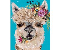 Zuty - Malování podle čísel - LAMA S KVĚTINOU (HALEY BUSH) 40x50 cm vypnuté plátno na rám