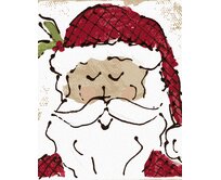 Zuty - Malování podle čísel - SANTA 2 (HALEY BUSH) 40x50 cm bez rámu a bez vypnutí plátna
