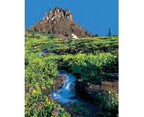 Zuty - Malování podle čísel - HORA A ŘEKA MEZI KVĚTY (TED DAVIS) 40x50 cm bez rámu a bez vypnutí plátna