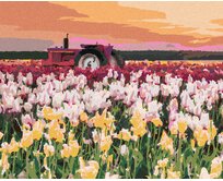 Zuty - Malování podle čísel - TULIPÁNY NA POLI (TED DAVIS) 40x50 cm vypnuté plátno na rám