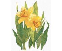 Zuty - Malování podle čísel - ŽLUTÉ NARCISY (ALEXANDRIA GILBERT) 40x50 cm vypnuté plátno na rám