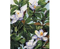 Zuty - Malování podle čísel - BÍLÉ KVĚTY MAGNÓLIE A LISTY (ALEXANDRIA GILBERT) 40x50 cm bez rámu a bez vypnutí plátna