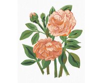 Zuty - Malování podle čísel - RŮŽE (ALEXANDRIA GILBERT) 40x50 cm vypnuté plátno na rám