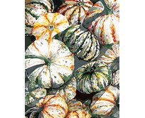 Zuty - Malování podle čísel - DÝNĚ (ALEXANDRIA GILBERT) 40x50 cm bez rámu a bez vypnutí plátna