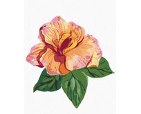 Zuty - Malování podle čísel - KVĚT IBIŠKU (ALEXANDRIA GILBERT) 40x50 cm vypnuté plátno na rám