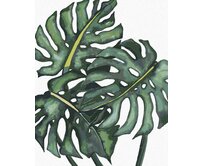 Zuty - Malování podle čísel - LISTY MONSTERY (ALEXANDRIA GILBERT) 40x50 cm vypnuté plátno na rám