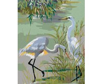 Zuty - Malování podle čísel - DVĚ VOLAVKY POPELAVÉ U JEZERA 40x50 cm bez rámu a bez vypnutí plátna