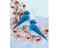 Zuty - Malování podle čísel - DVA MODŘÍ PTÁČKOVÉ 40x50 cm vypnuté plátno na rám