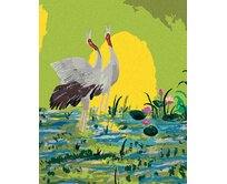 Zuty - Malování podle čísel - DVA JEŘÁBI NA ZELENÉM POZADÍ 40x50 cm vypnuté plátno na rám