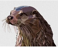 Zuty - Malování podle čísel - MALOVANÁ VYDRA 40x50 cm vypnuté plátno na rám