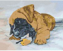 Zuty - Malování podle čísel - ŠTĚNĚ NĚMECKÉHO BOXERA 40x50 cm bez rámu a bez vypnutí plátna