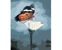 Zuty - Malování podle čísel - MOTÝL NA KVĚTINĚ 40x50 cm vypnuté plátno na rám