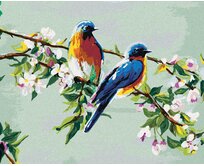 Zuty - Malování podle čísel - DVA PTÁČCI NA JABLOŇI 40x50 cm bez rámu a bez vypnutí plátna