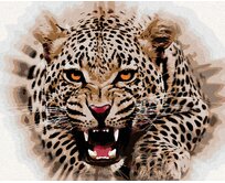 Zuty - Malování podle čísel - JAGUÁR ÚTOČÍ 40x50 cm bez rámu a bez vypnutí plátna