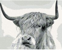 Zuty - Malování podle čísel - ČERNOBÍLÝ BUVOL PŘÍMÝ POHLED 40x50 cm bez rámu a bez vypnutí plátna