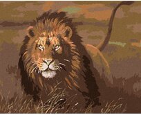 Zuty - Malování podle čísel - LEV V SAVANĚ 40x50 cm bez rámu a bez vypnutí plátna