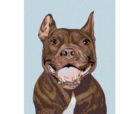 Zuty - Malování podle čísel - PITBULL 40x50 cm bez rámu a bez vypnutí plátna