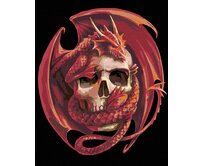 Zuty - Malování podle čísel - LEBKA S DRAKEM 40x50 cm bez rámu a bez vypnutí plátna