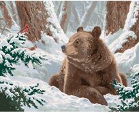 Zuty - Malování podle čísel - MEDVĚD A PTÁK KARDINÁL VE SNĚHU (ABRAHAM HUNTER) 40x50 cm bez rámu a bez vypnutí plátna