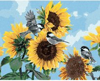 Zuty - Malování podle čísel - SÝKORA KOŇADRA NA SLUNEČNICI (ABRAHAM HUNTER) 40x50 cm vypnuté plátno na rám