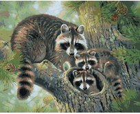 Zuty - Malování podle čísel - MÝVAL S MLÁĎATY NA JEHLIČNATÉM STROMĚ (ABRAHAM HUNTER) 40x50 cm vypnuté plátno na rám