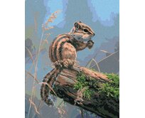 Zuty - Malování podle čísel - ČIPMUNK S ŽALUDEM (ABRAHAM HUNTER) 40x50 cm bez rámu a bez vypnutí plátna