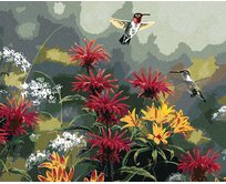 Zuty - Malování podle čísel - KOLIBŘÍK A KVĚTINY (ABRAHAM HUNTER) 40x50 cm bez rámu a bez vypnutí plátna