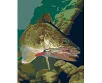 Zuty - Malování podle čísel - ŠTIKA CHYCENÁ NA HÁČEK (AL AGNEW) 40x50 cm vypnuté plátno na rám