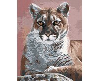 Zuty - Malování podle čísel - PORTRÉT PUMA (AL AGNEW) 40x50 cm vypnuté plátno na rám