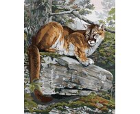 Zuty - Malování podle čísel - PUMA NA SKÁLE (AL AGNEW) 40x50 cm vypnuté plátno na rám