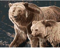 Zuty - Malování podle čísel - MEDVĚD S MLÁDĚTEM (AL AGNEW) 40x50 cm vypnuté plátno na rám