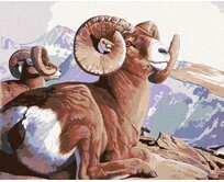 Zuty - Malování podle čísel - OVCE TLUSTOROHÁ NA SKÁLE (AL AGNEW) 40x50 cm vypnuté plátno na rám