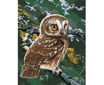Zuty - Malování podle čísel - SOVA NA VĚTVI (AL AGNEW) 40x50 cm bez rámu a bez vypnutí plátna