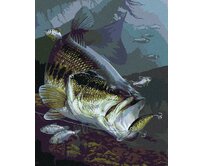 Zuty - Malování podle čísel - OKOUNEK PSTRUHOVÝ NA HÁČKU (AL AGNEW) 40x50 cm bez rámu a bez vypnutí plátna