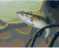 Zuty - Malování podle čísel - RYBA A PODVODNÍ KOŘENY STROMU (AL AGNEW) 40x50 cm bez rámu a bez vypnutí plátna