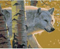 Zuty - Malování podle čísel - BÍLÝ VLK A BŘÍZY (AL AGNEW) 40x50 cm vypnuté plátno na rám