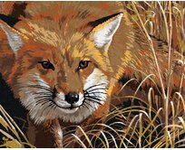 Zuty - Malování podle čísel - LIŠKA LEŽÍCÍ V TRÁVĚ (AL AGNEW) 40x50 cm vypnuté plátno na rám