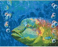 Zuty - Malování podle čísel - BAREVNÁ RYBA A BUBLINY (CAROL CAVALARIS) 40x50 cm vypnuté plátno na rám