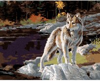Zuty - Malování podle čísel - VLK U JEZERA (DARRELL BUSH) 40x50 cm vypnuté plátno na rám
