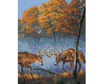 Zuty - Malování podle čísel - SOUBOJ JELENŮ (DARRELL BUSH) 40x50 cm vypnuté plátno na rám