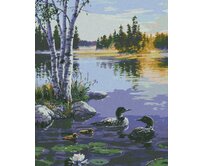 Zuty - Malování podle čísel - VÝCHOD SLUNCE, KACHNÍ RODINA A LEKNÍNY NA JEZEŘE (DARRELL BUSH) 40x50 cm vypnuté plátno na rám