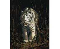 Zuty - Malování podle čísel – BÍLÝ TYGR V TRÁVĚ (JAMES HAUTMAN) 40x50 cm bez rámu a bez vypnutí plátna
