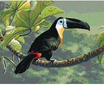 Zuty - Malování podle čísel – TUKAN NA VĚTVI V PRALESE (JAMES HAUTMAN) 40x50 cm bez rámu a bez vypnutí plátna